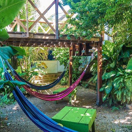 Ciao Cacao Hostel & Vegan Cafe Flores Dış mekan fotoğraf