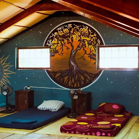 Ciao Cacao Hostel & Vegan Cafe Flores Dış mekan fotoğraf