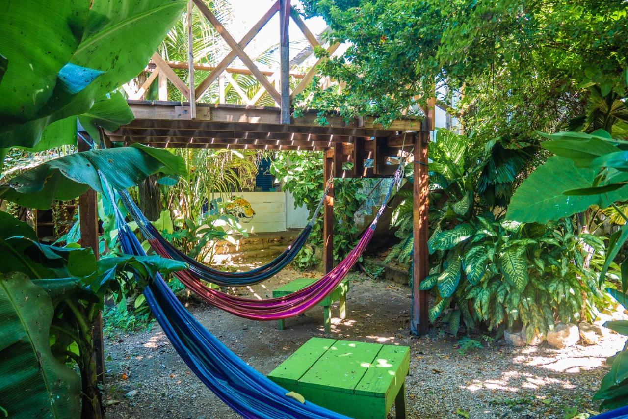 Ciao Cacao Hostel & Vegan Cafe Flores Dış mekan fotoğraf