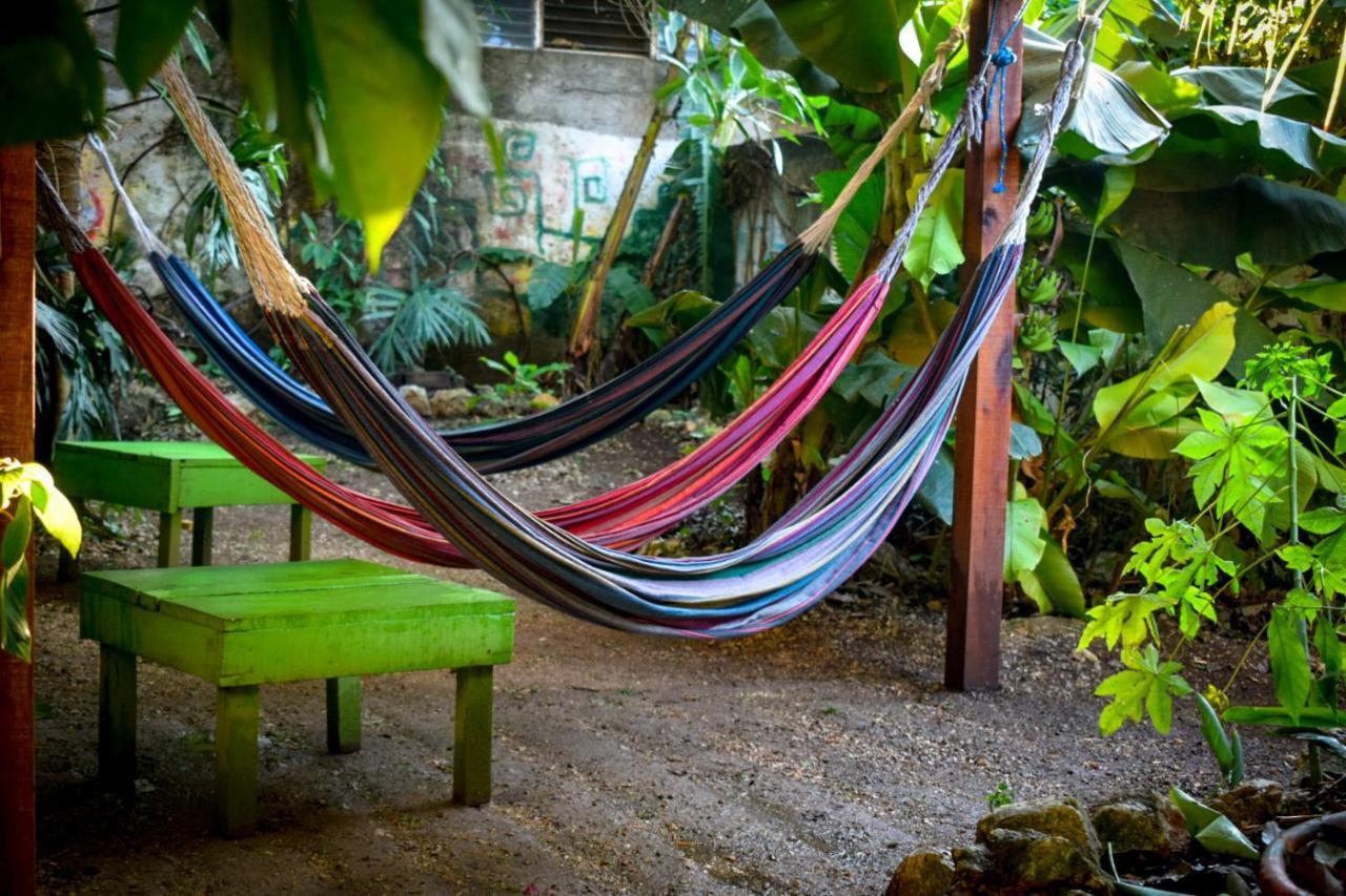 Ciao Cacao Hostel & Vegan Cafe Flores Dış mekan fotoğraf