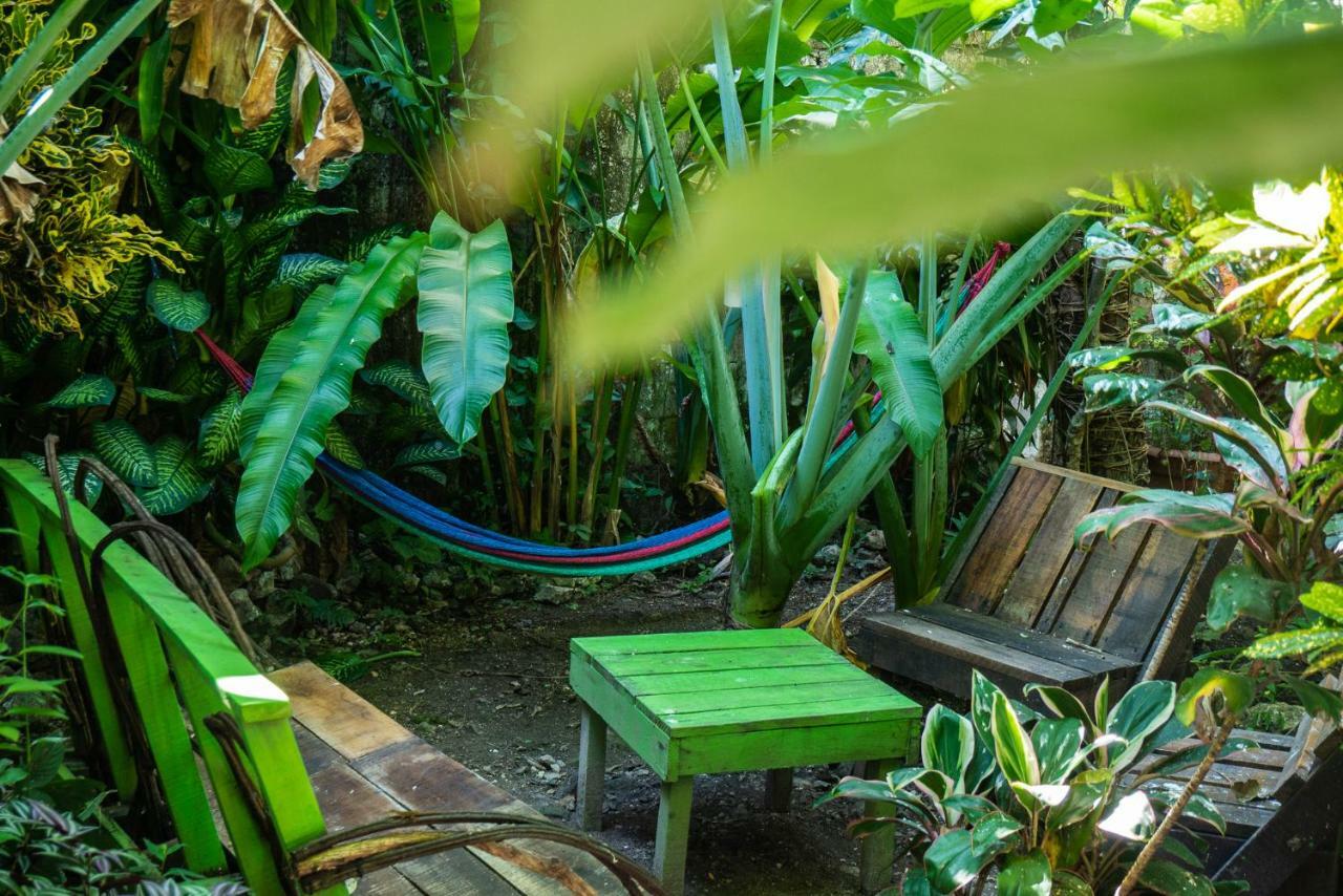 Ciao Cacao Hostel & Vegan Cafe Flores Dış mekan fotoğraf