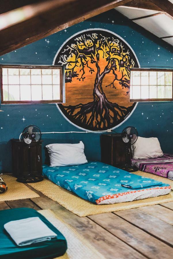 Ciao Cacao Hostel & Vegan Cafe Flores Dış mekan fotoğraf